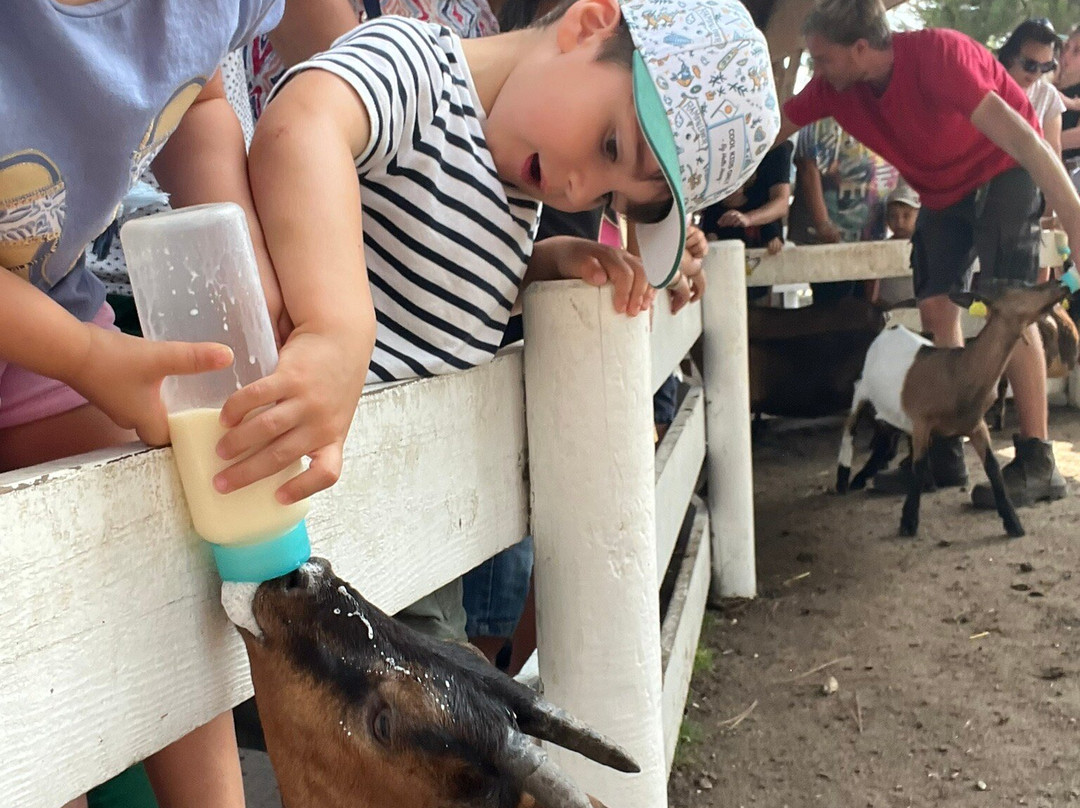 Parc de la Coccinelle-Gujan-Mestras必去景点