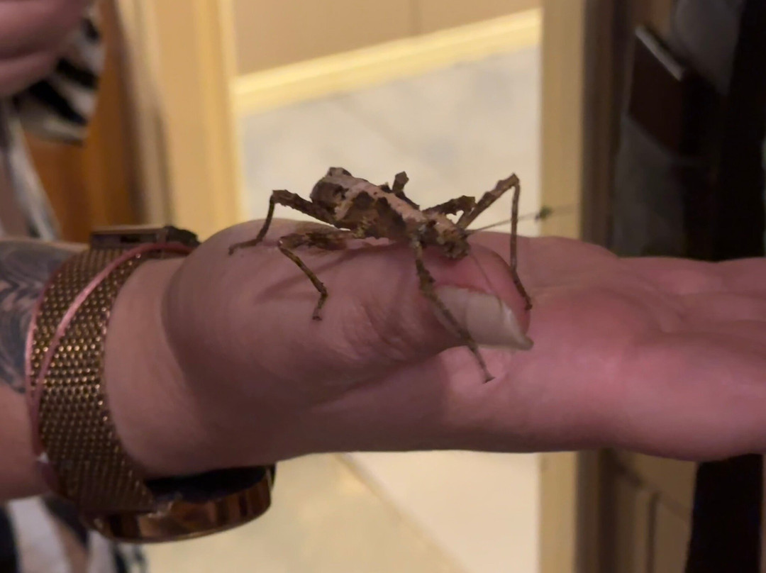 De Steenuil-Oirschot必去景点