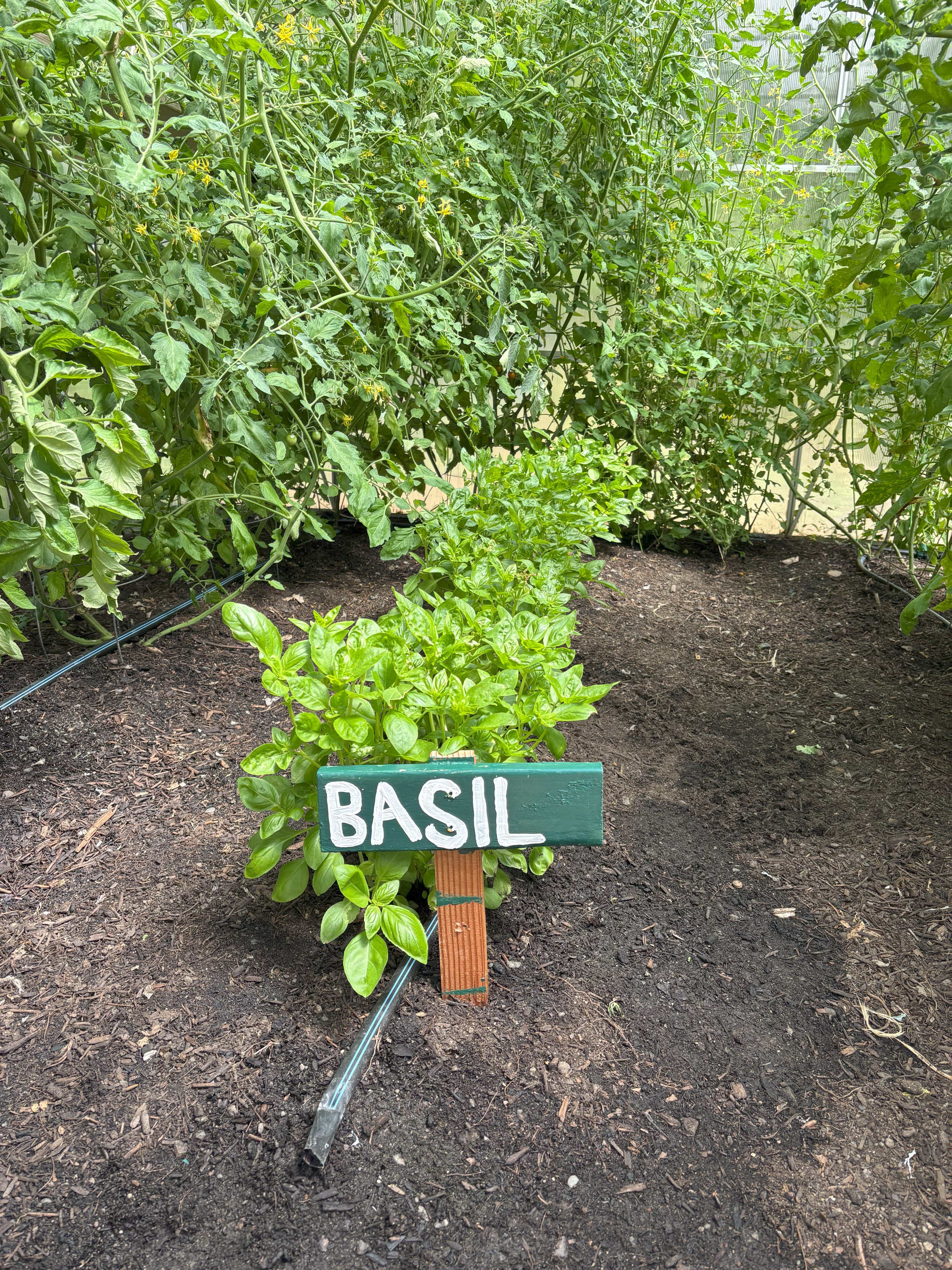 Pebble Cove Farm Inn and Animal Sanctuary-浴室