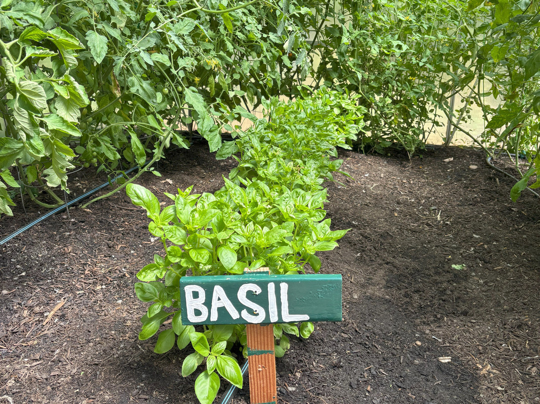 Pebble Cove Farm Inn and Animal Sanctuary主图