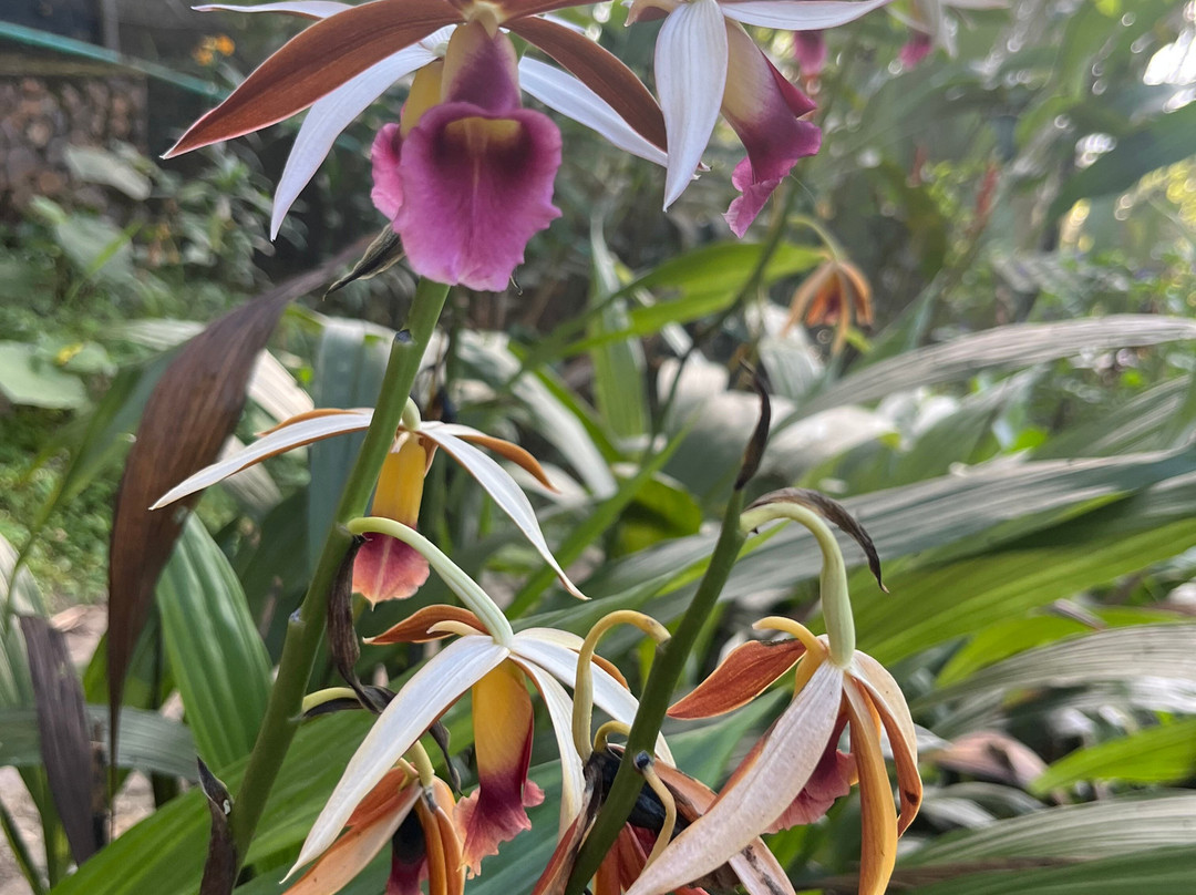 Reserva Natural Nirvana-Palmira必去景点