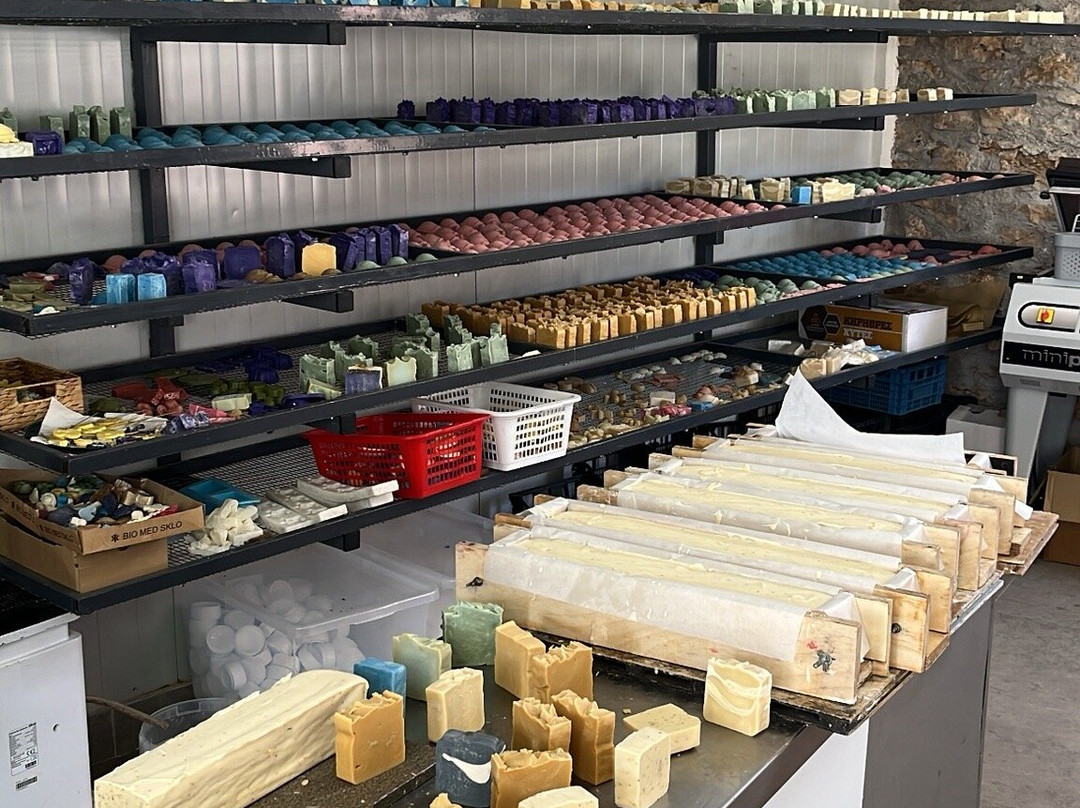 Olive Tree-扎金索斯必去景点