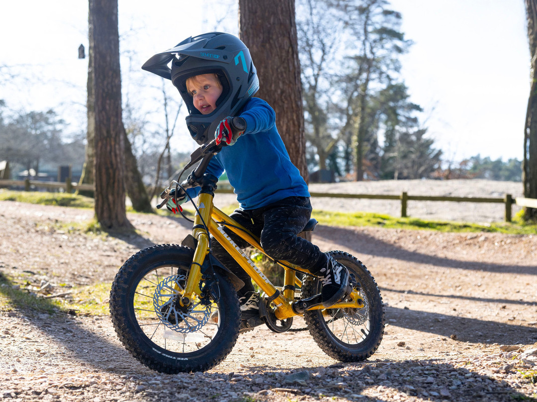 Haldon Forest Park - Forestry England-得文郡必去景点