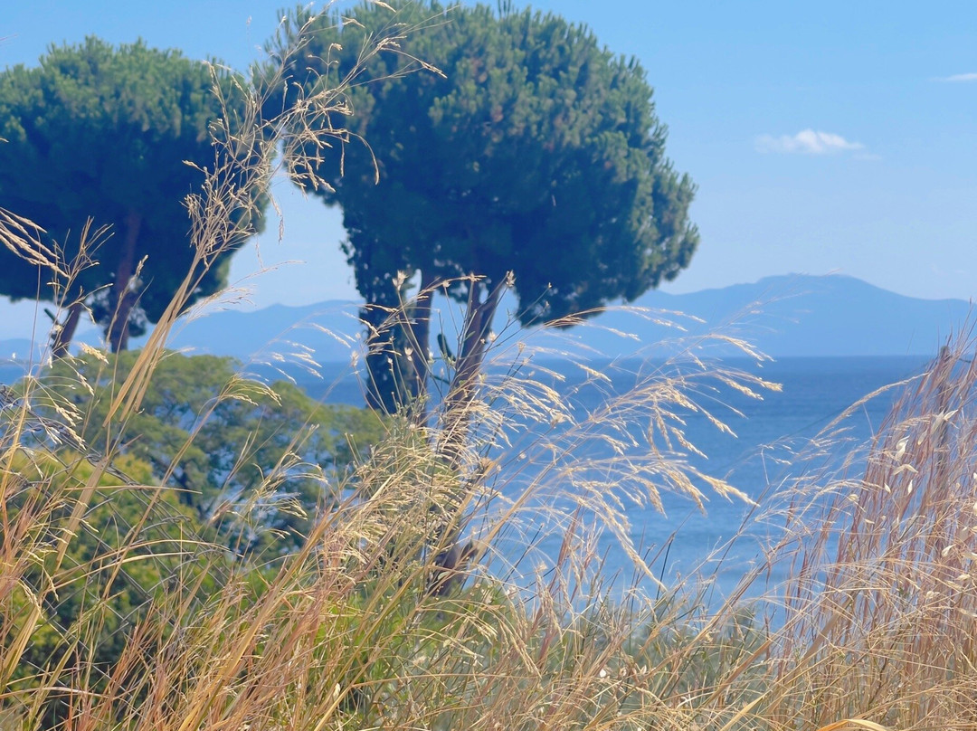 Lagoudi Beach-Afissos必去景点