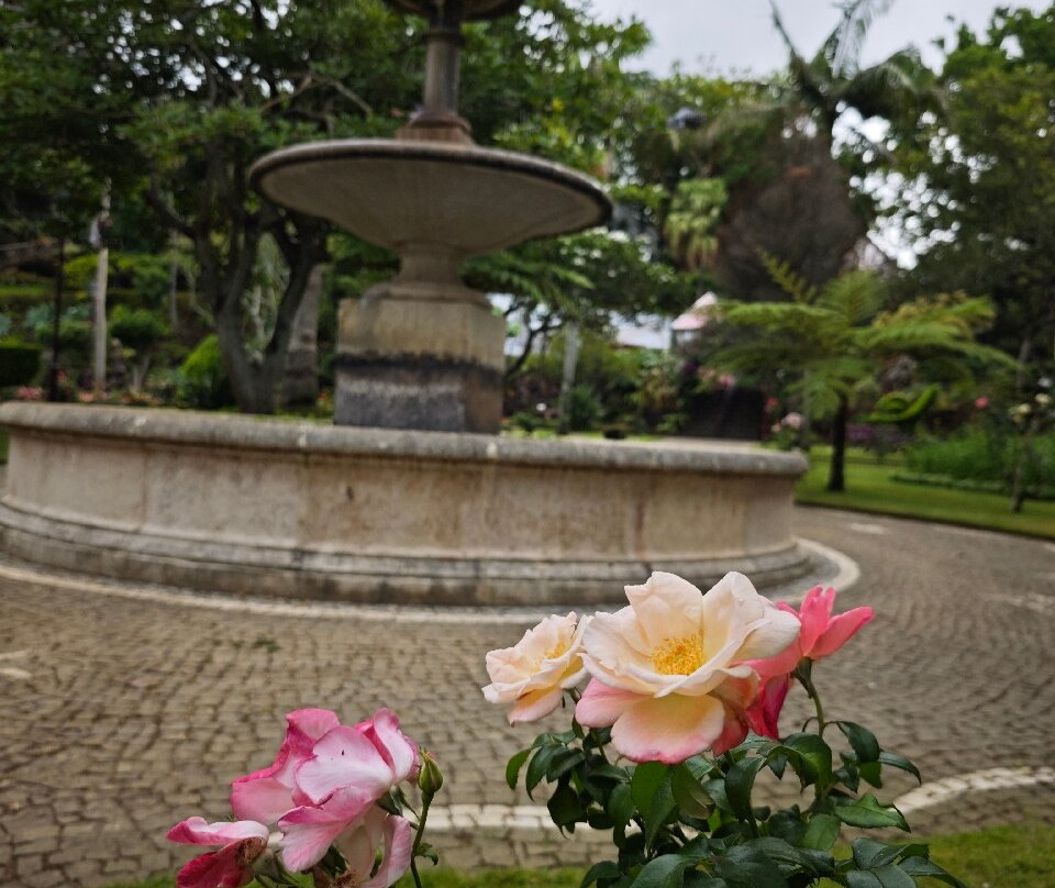 Duke of Terceira Garden-亚速尔群岛英雄港中心区必去景点