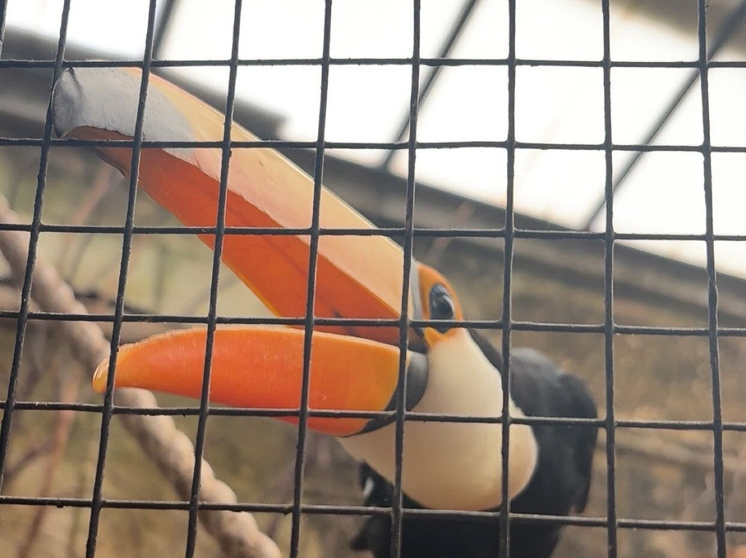 Amazon World Zoo Park-桑当必去景点