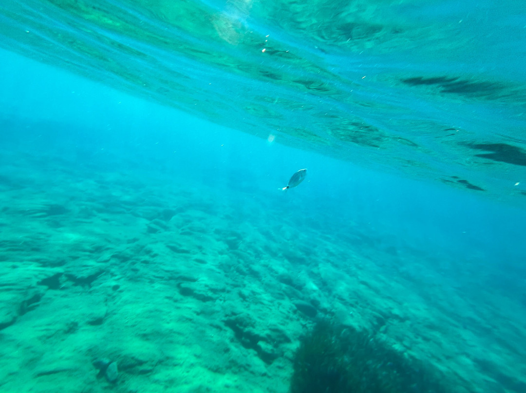 Mononaftis Beach-阿希亚贝拉希亚必去景点