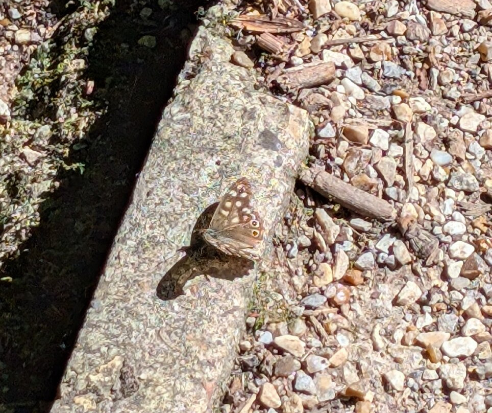 Jubilee Lake-皇家伍顿巴西特必去景点
