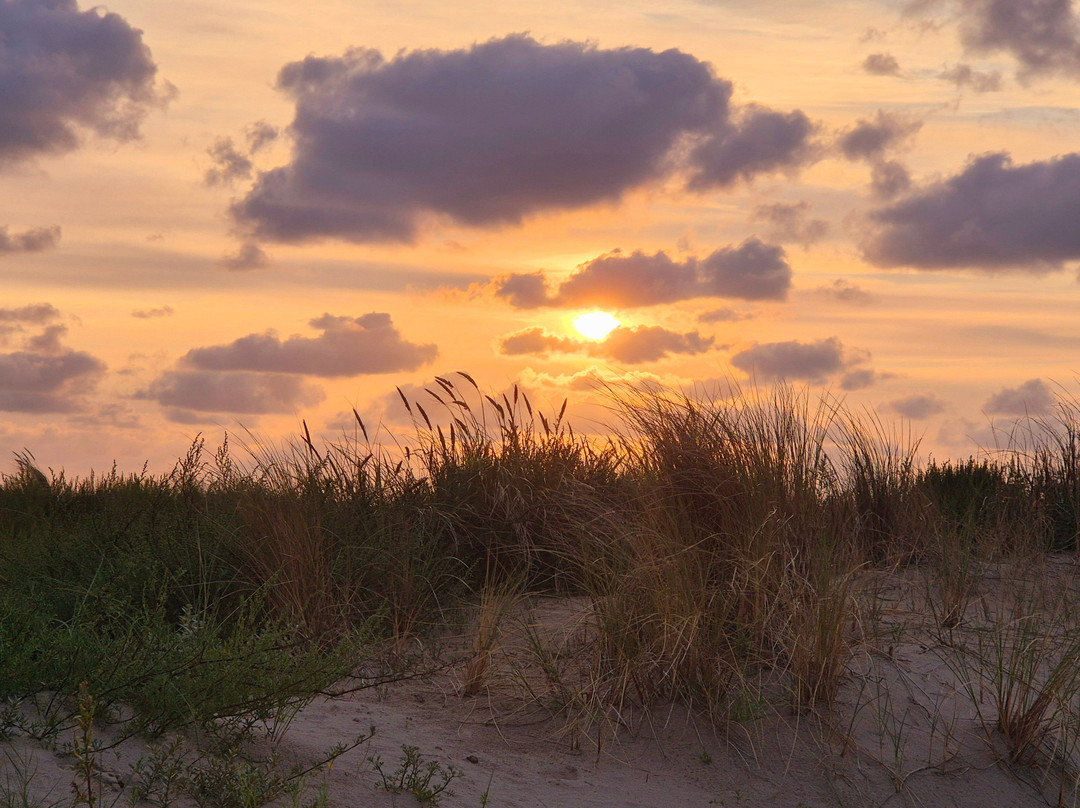 Strand Van Noordwijk-诺德韦克必去景点