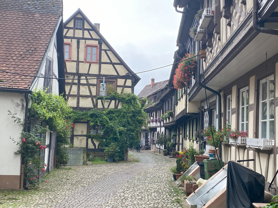 Calleja Engelgasse-根根堡必去景点