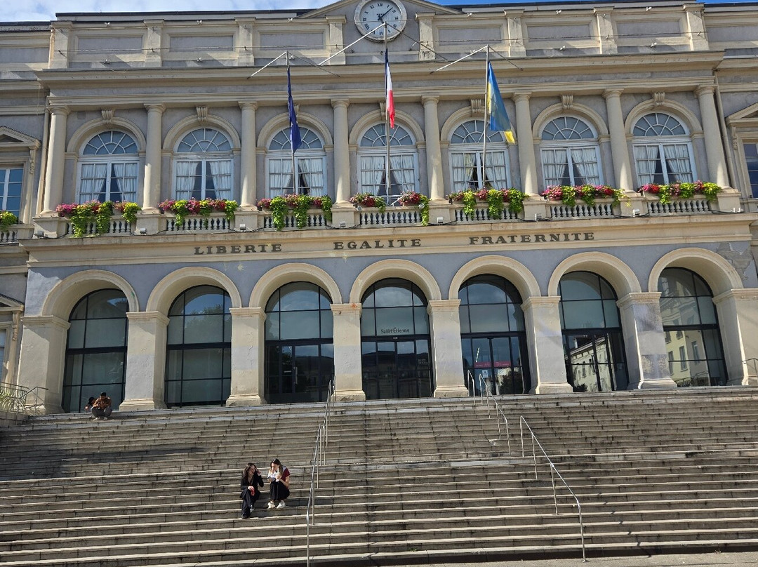 弗拉尼亚酒店主图