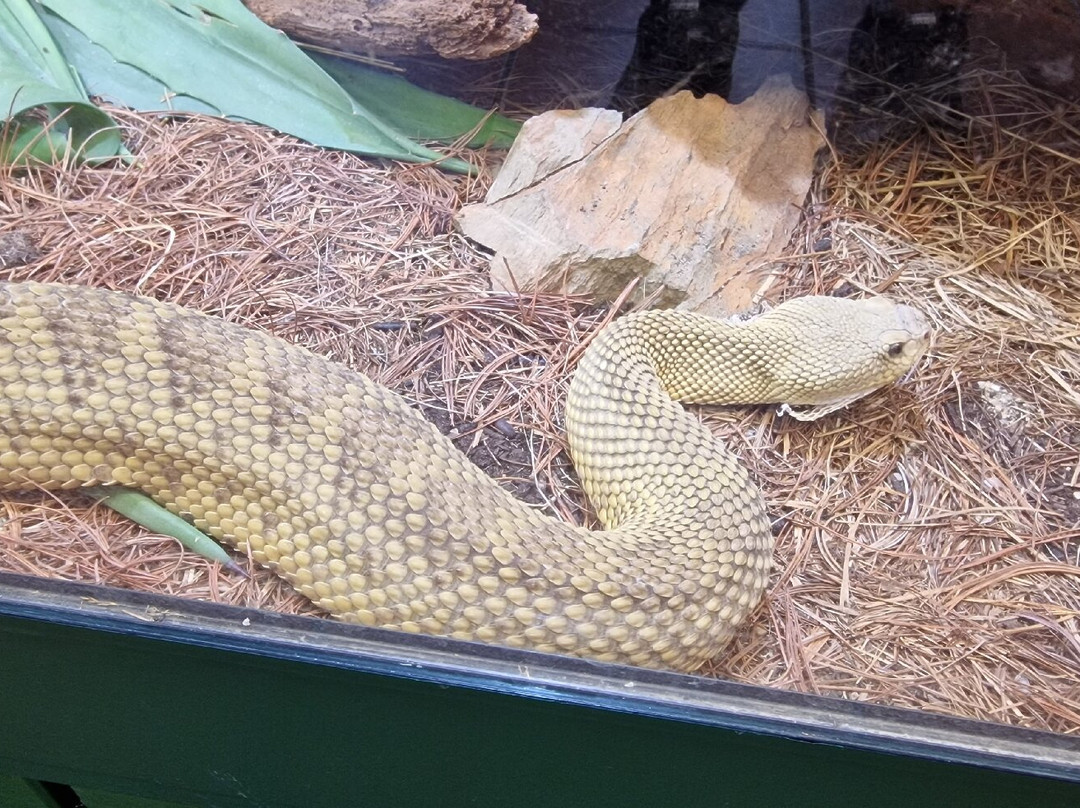 Reptilienzoo Nockalm-Patergassen必去景点