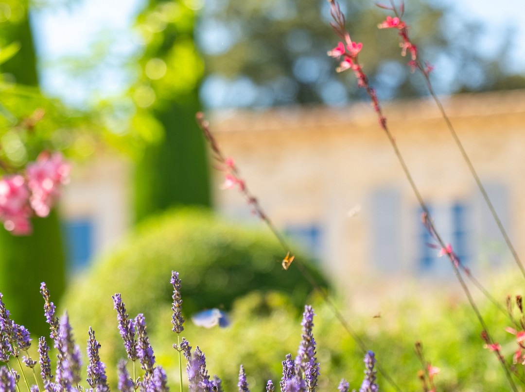 Mas Bella Cortis主图