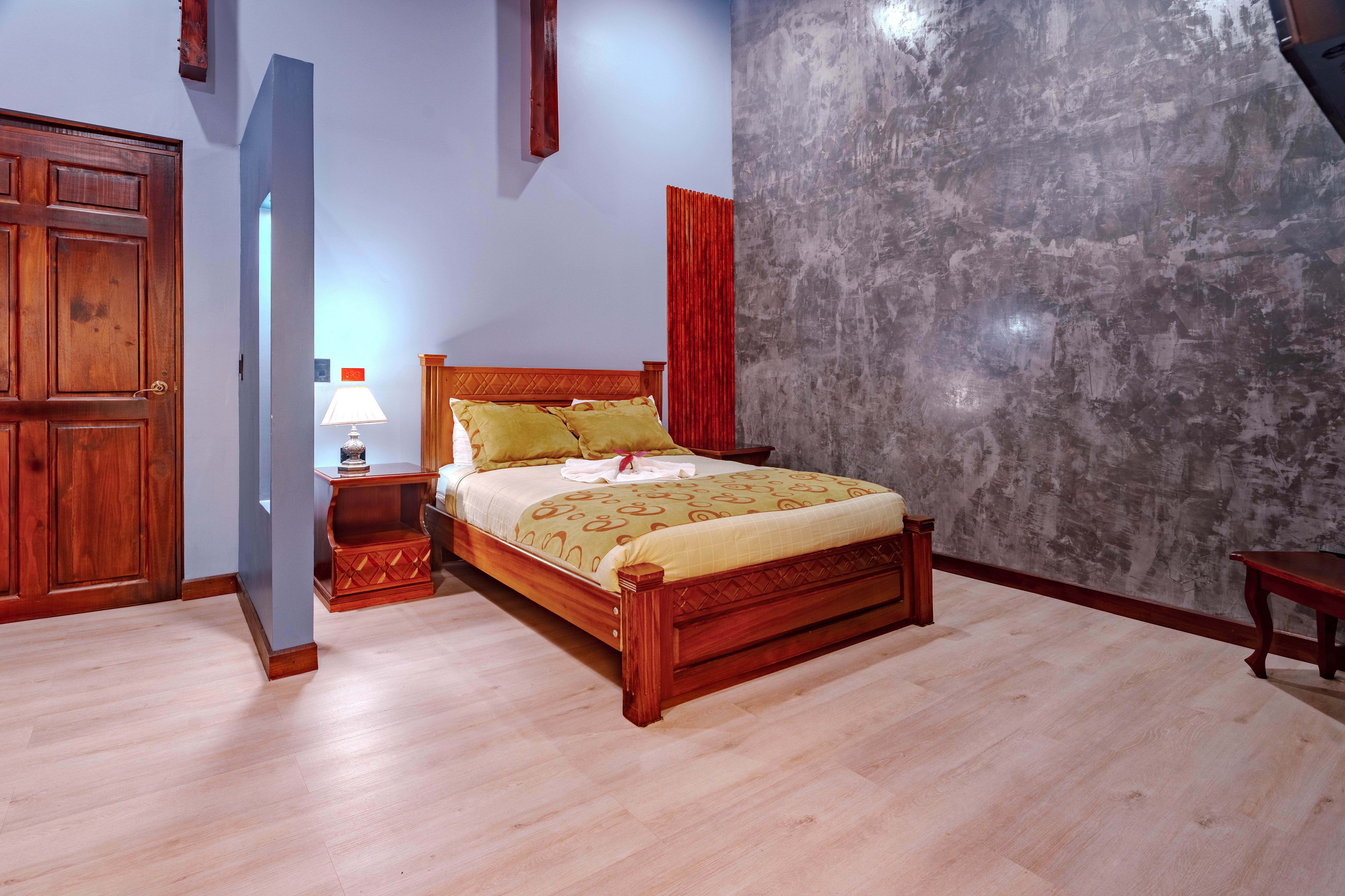 Hotel Villa Florencia-客卧