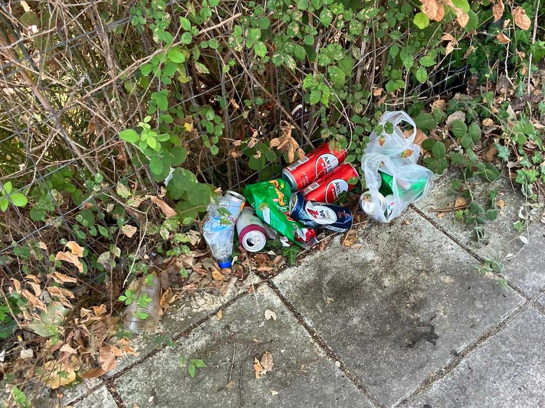 Dassia Beach-Dassia必去景点