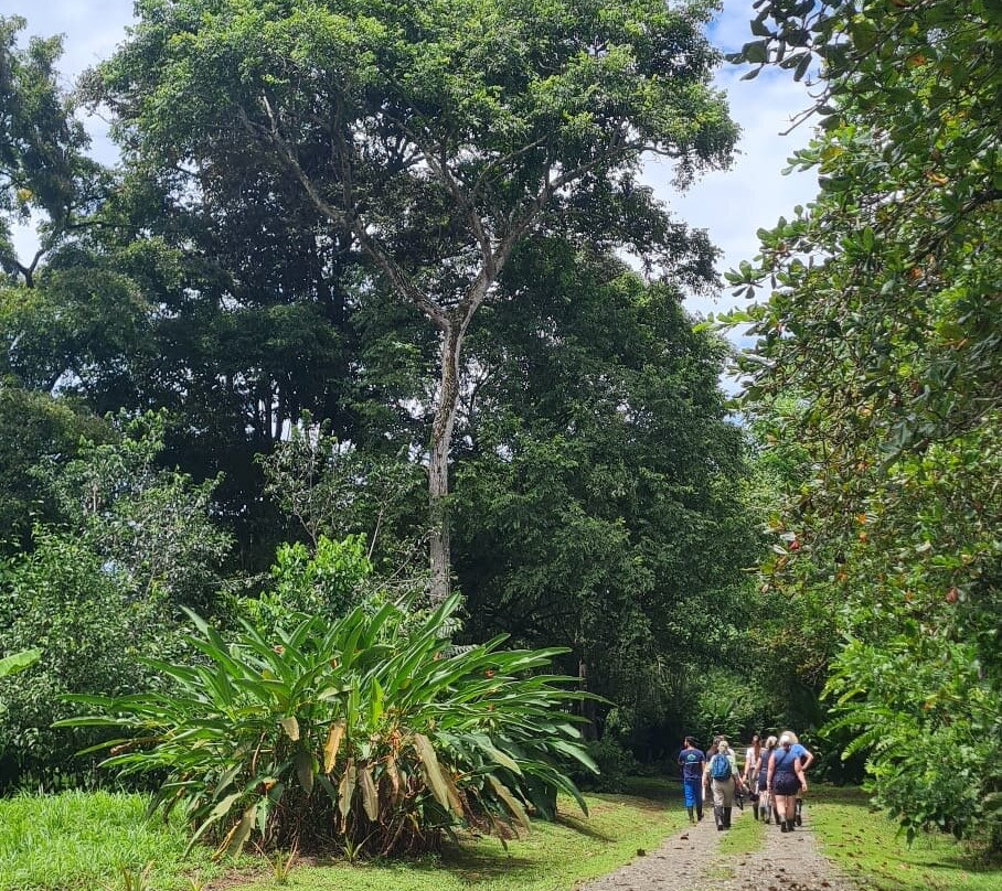 Osa Conservation Campus-希门尼斯港必去景点