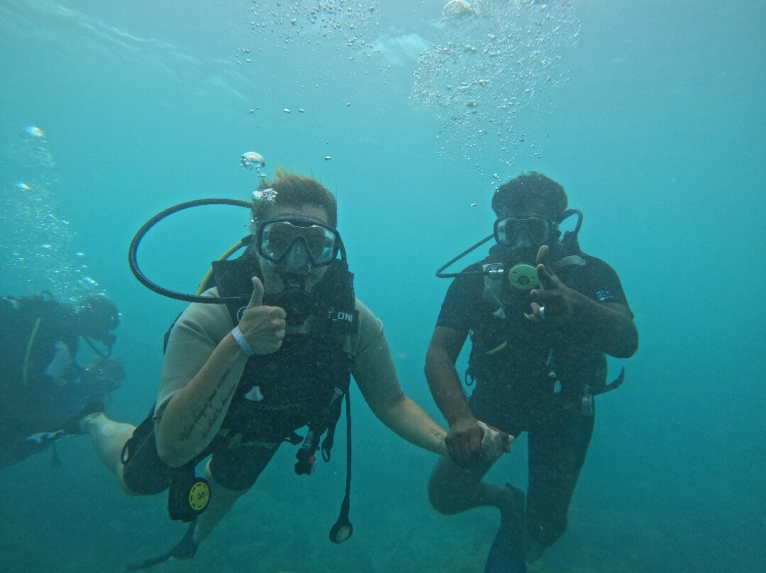 Seaman Diving-大湾必去景点