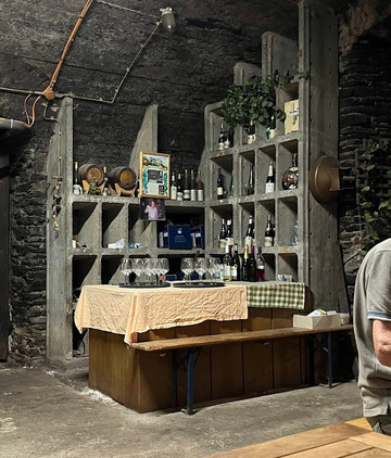 WeinBergHotel Nalbach Reil/Mosel主图