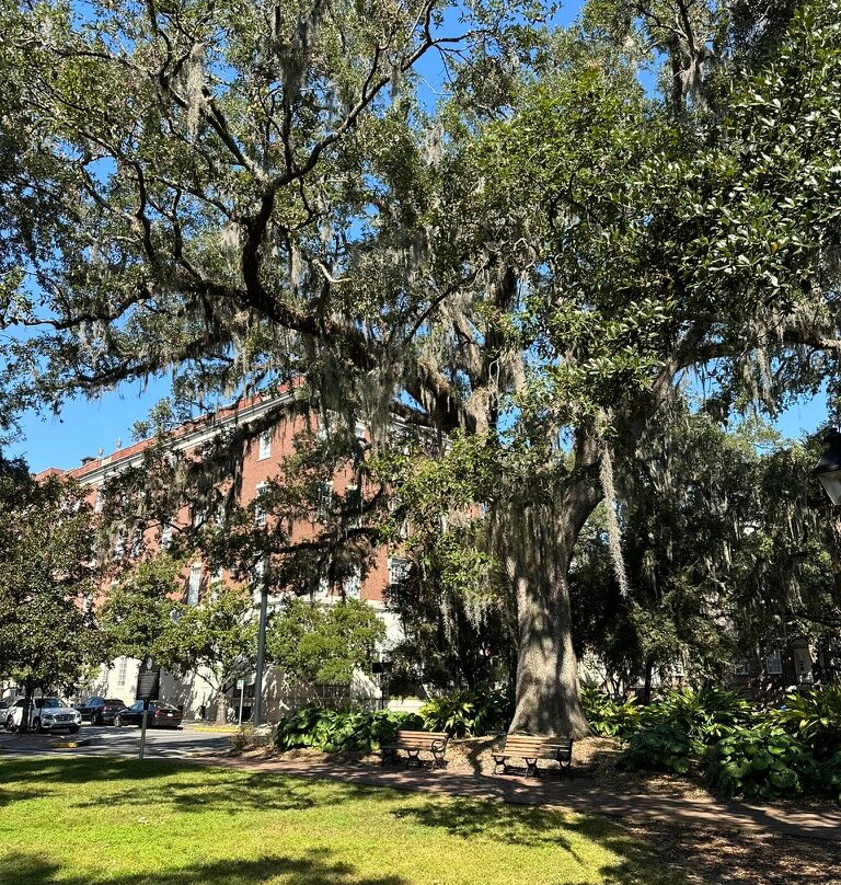 Lafayette Square-萨凡纳必去景点