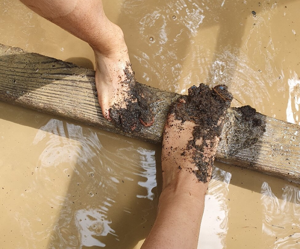 Der Barfusspark-Beelitz必去景点