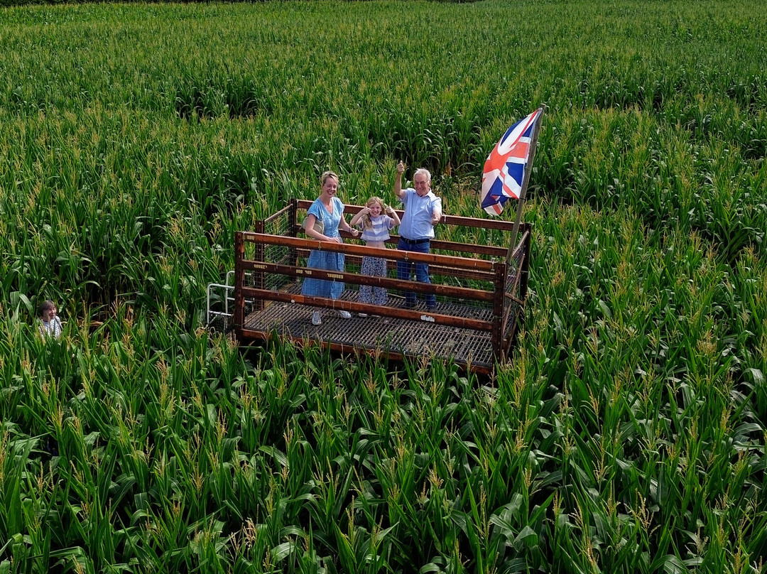 Elton Farm Maize Mazes-Newnham-on-Severn必去景点