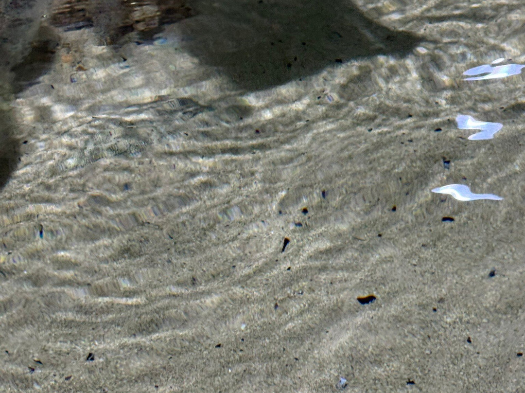 OdySea Aquarium-斯科茨代尔必去景点