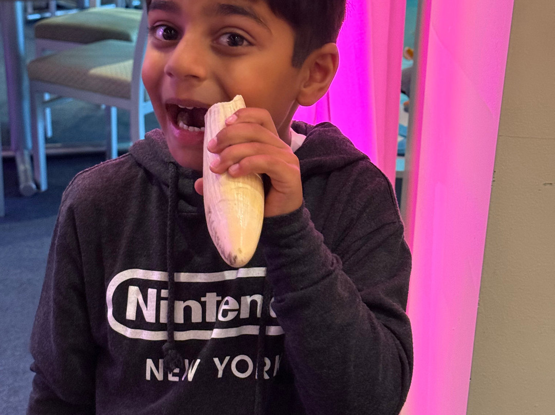 Eco-Adventure Center at The Ritz-Carlton, Laguna Niguel-德纳角必去景点