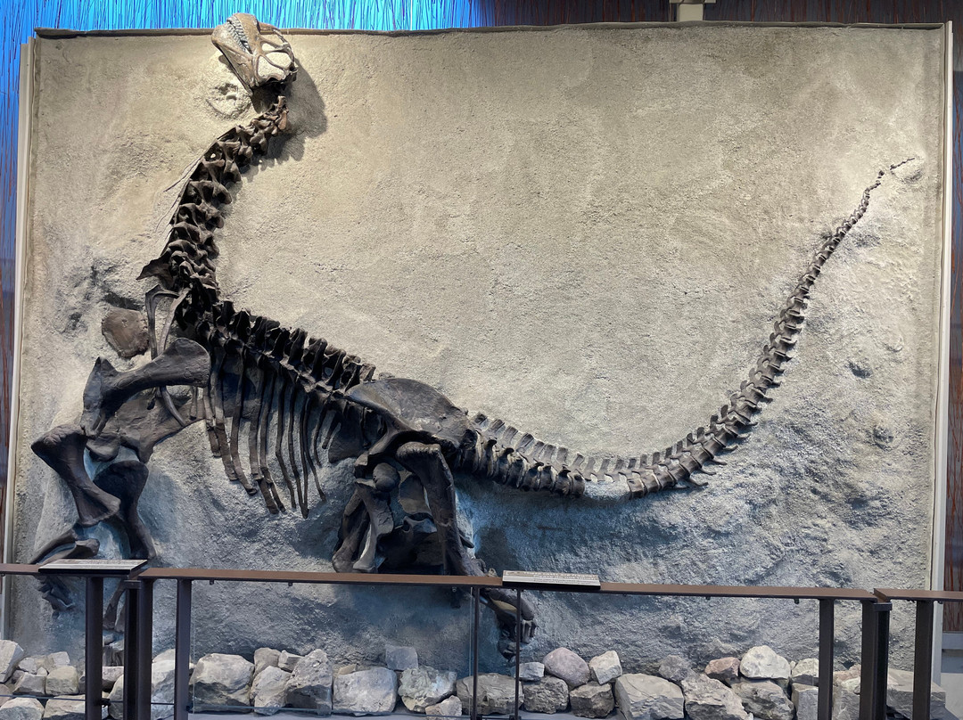 Dinosaur National Monument-Jensen必去景点