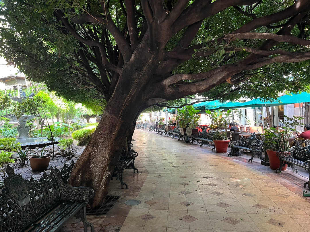 Guanajuato Walking Tours-瓜纳华托必去景点