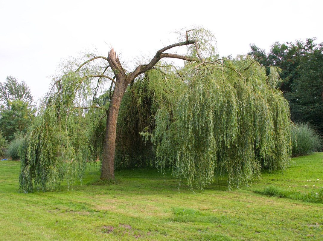 Hotel de Lindeboom主图
