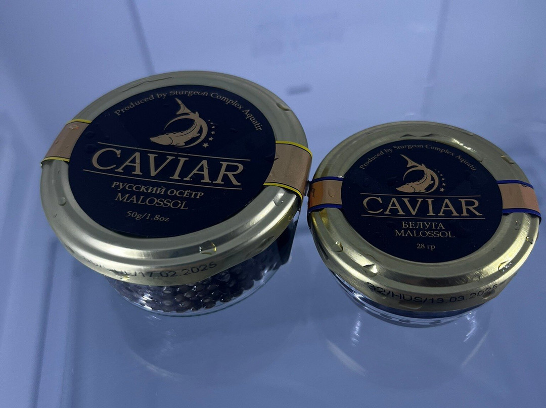 Aquatir Sturgeon Complex-Tiraspolul Nou必去景点