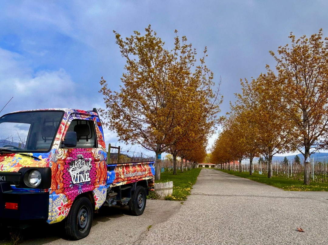 The Vibrant Vine-基洛纳必去景点