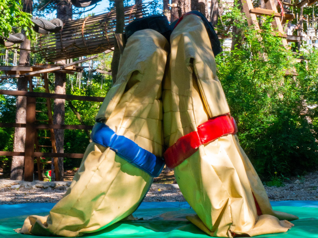 Adrenalin Park-斯利维尼萨必去景点