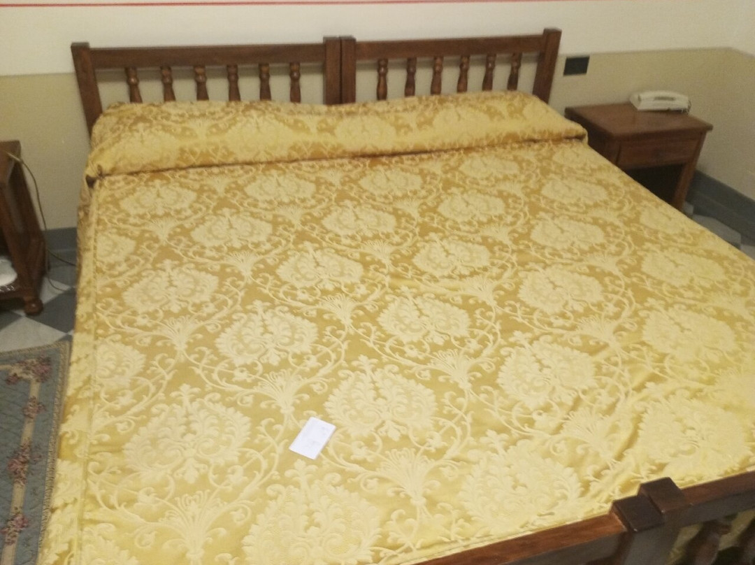 蕾佳娜公园酒店主图