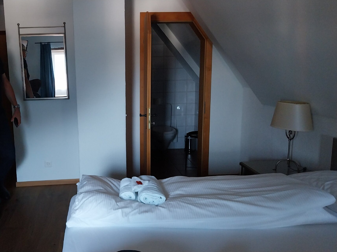 Hotel Restaurant Schlossli Sax主图