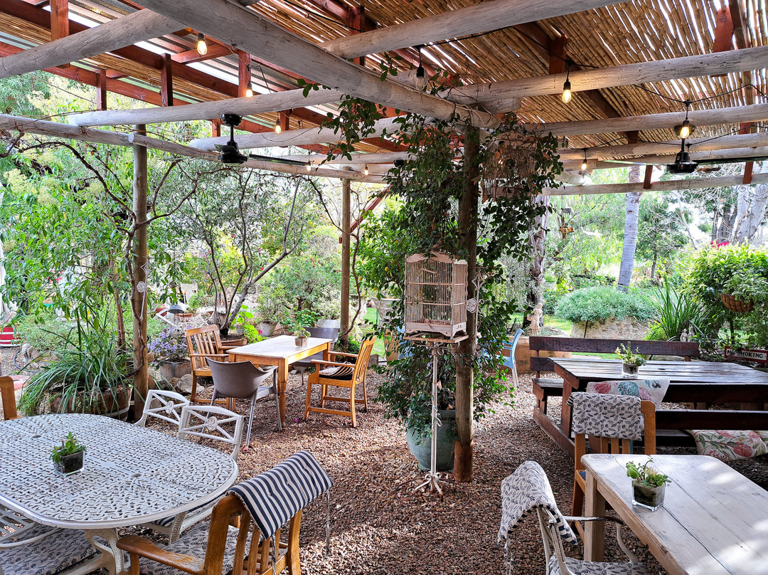 Veldskoen Padstal-De Doorns必去景点