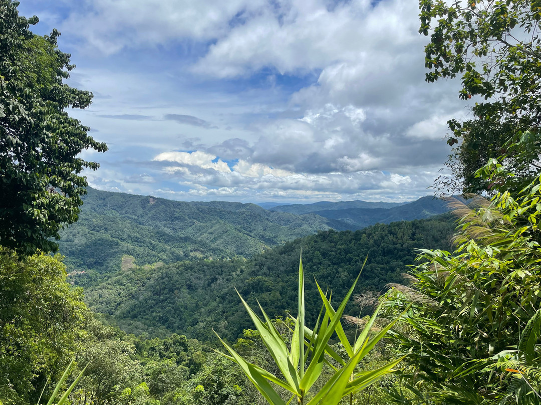 Kiulu Farmstay主图