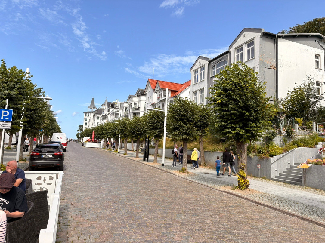 Wald-Hotel Sellin主图