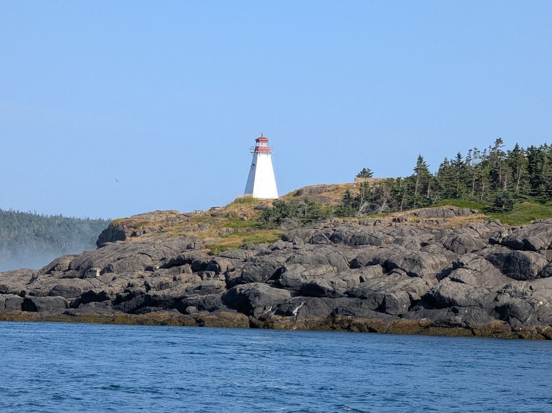 Adventure Bay Whale Watch Co.-Tiverton必去景点