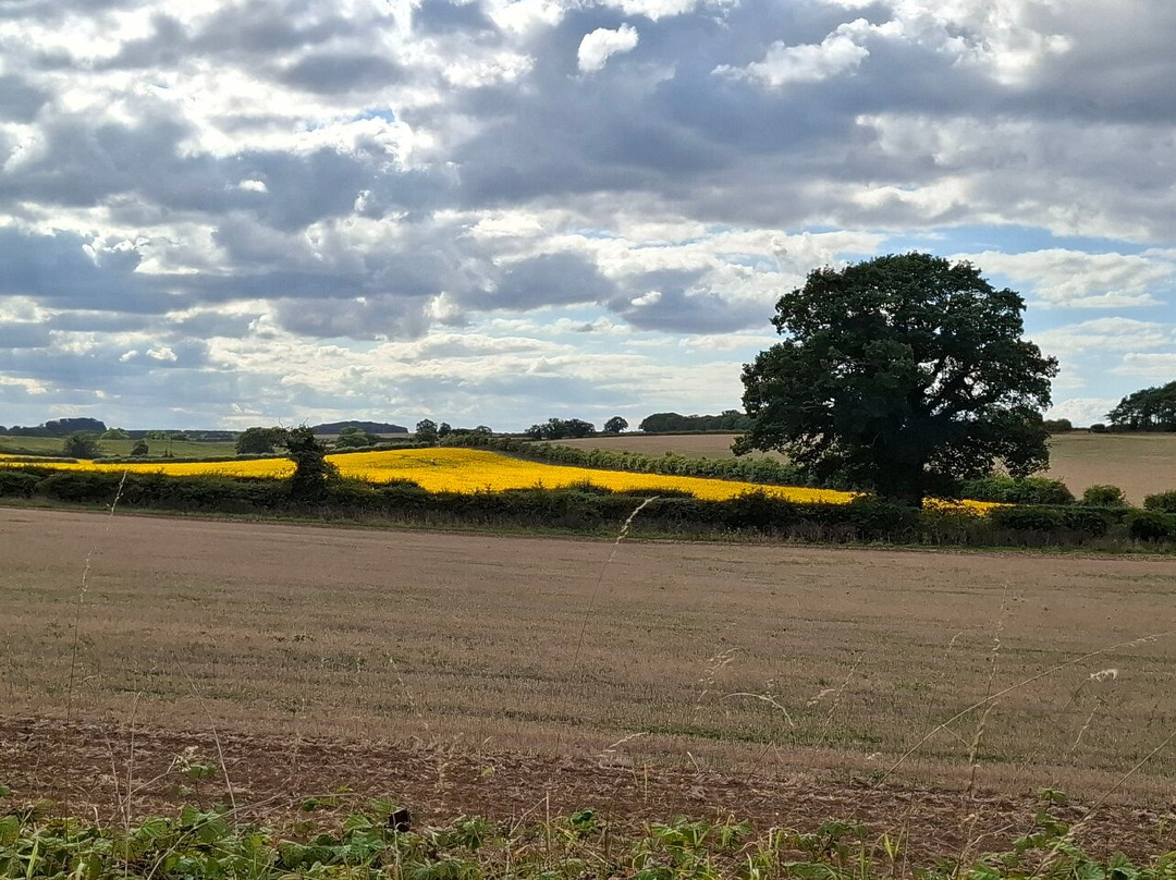 Wells & Walsingham Light Railway-Wells-next-the-Sea必去景点