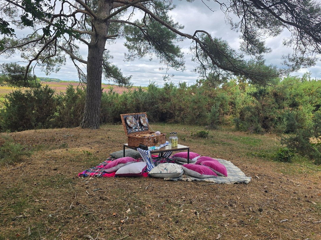 Coombe Stables-Sway必去景点