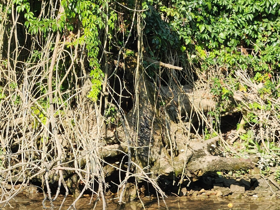 Croisières Fluviales Bernard Palissy III-桑特必去景点