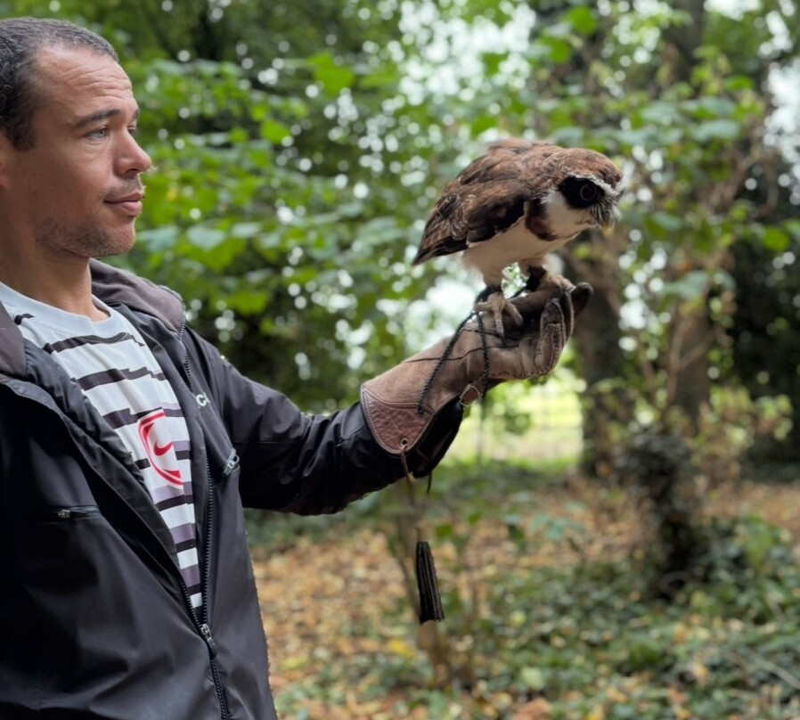 Icarus Falconry-北安普敦必去景点