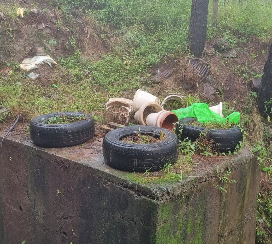 Whispering Winds By DLS Hotels主图