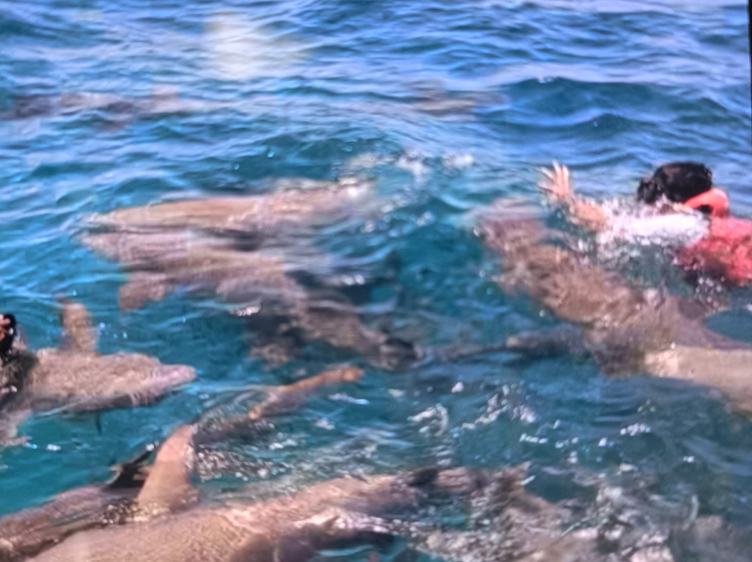 Salt Beach Tours-马富士岛必去景点