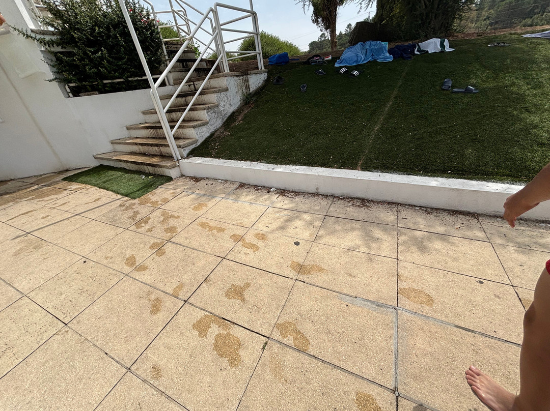 Complexo Desportivo Principe Perfeito-维塞乌必去景点