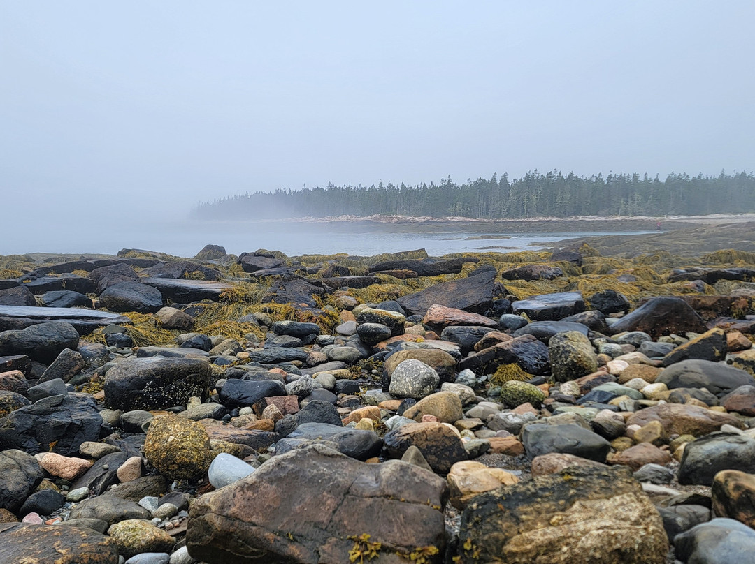 Wonderland Trail-Southwest Harbor必去景点