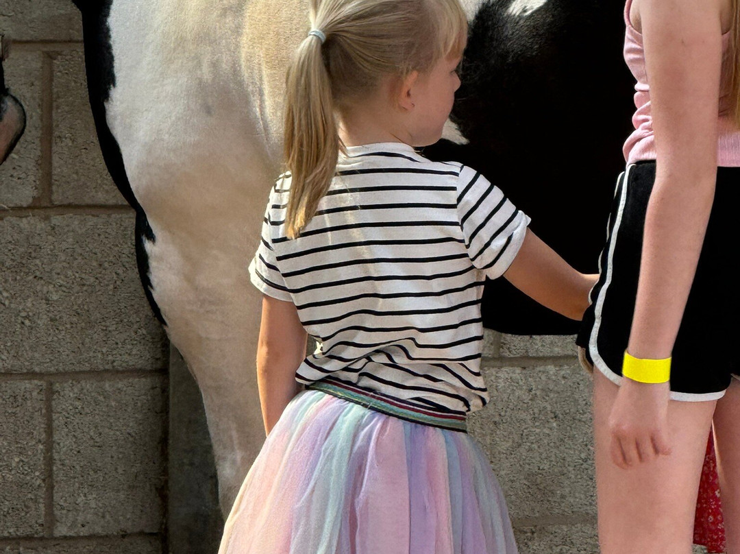 World Horse Welfare Penny Farm-黑潭必去景点