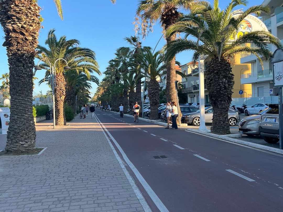 Hotel International主图