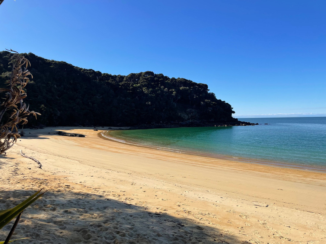 Abel Tasman Sea Shuttle Ltd-莫图伊卡必去景点